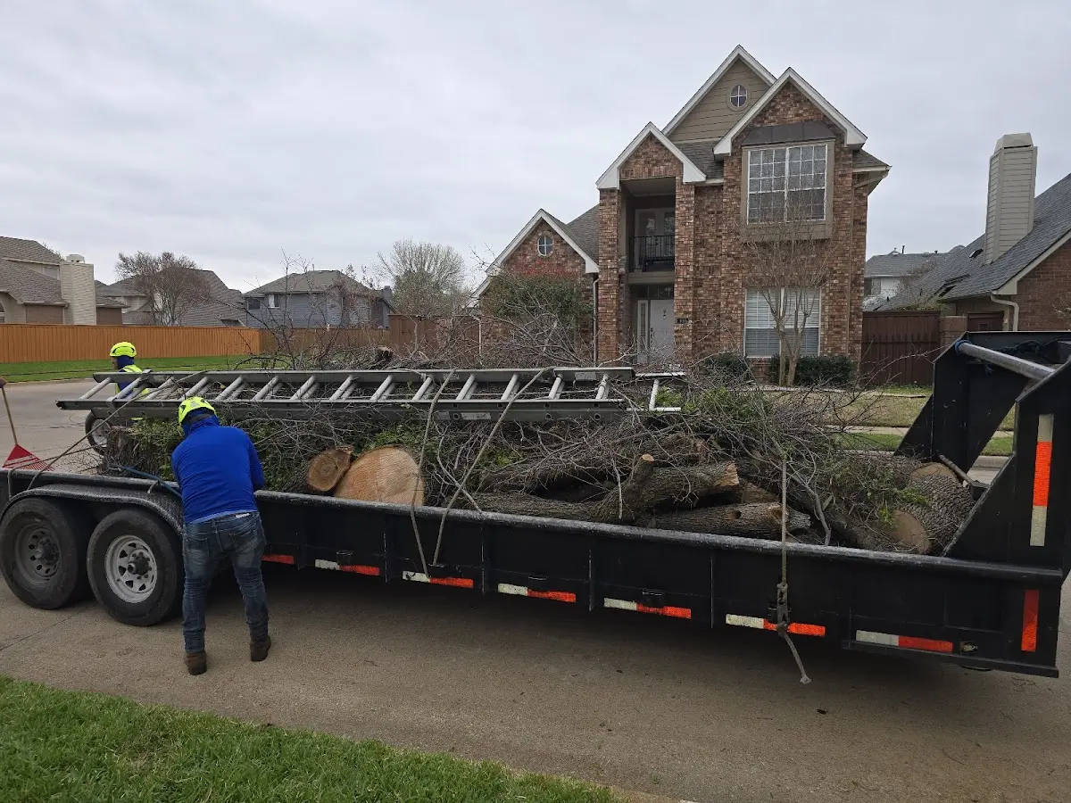 Expert Tree Fertilization with proper safety equipment in Esopus